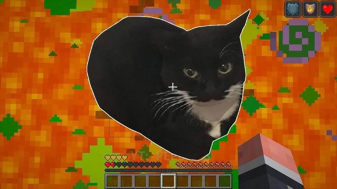 Newton's photograph placed inside an early Minecraft world