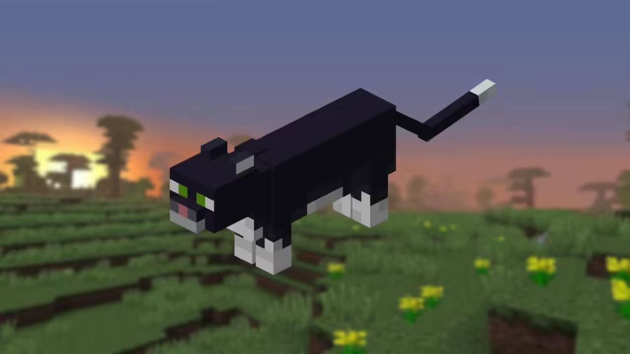 The Minecraft tuxedo cat walking through a savanna at sunset